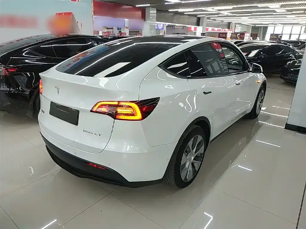 Tesla Model Y — фото 10