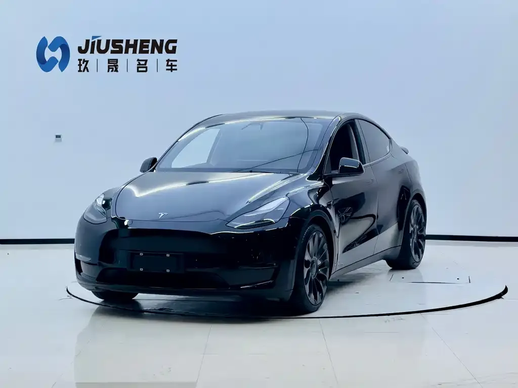 Tesla Model Y 2022 из CN, фото 1