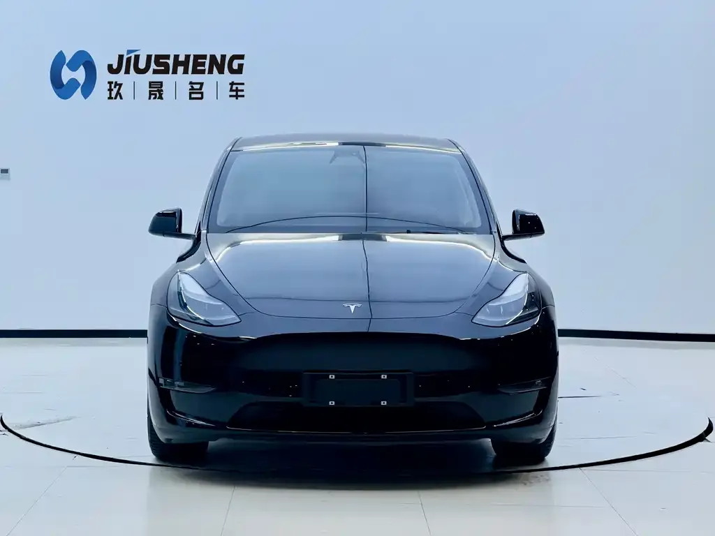 Tesla Model Y 2022 из CN, фото 5