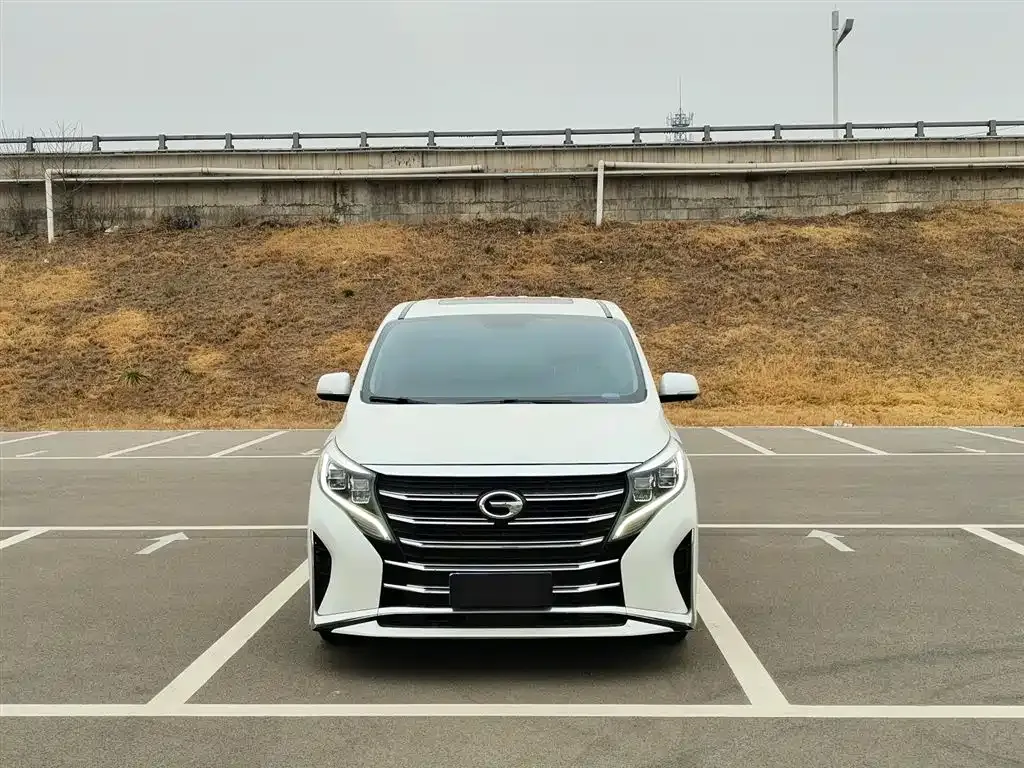 GAC Motor Trumpchi M8 2024 из CN, фото 8