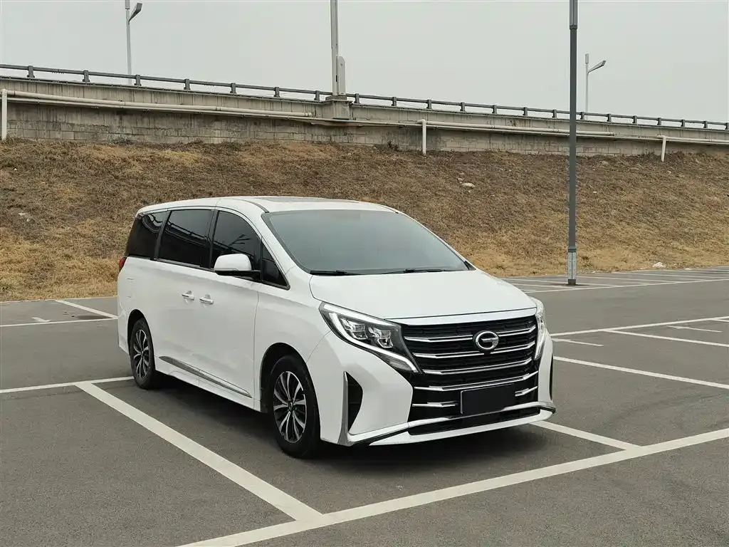 GAC Motor Trumpchi M8 2024 из CN, фото 5