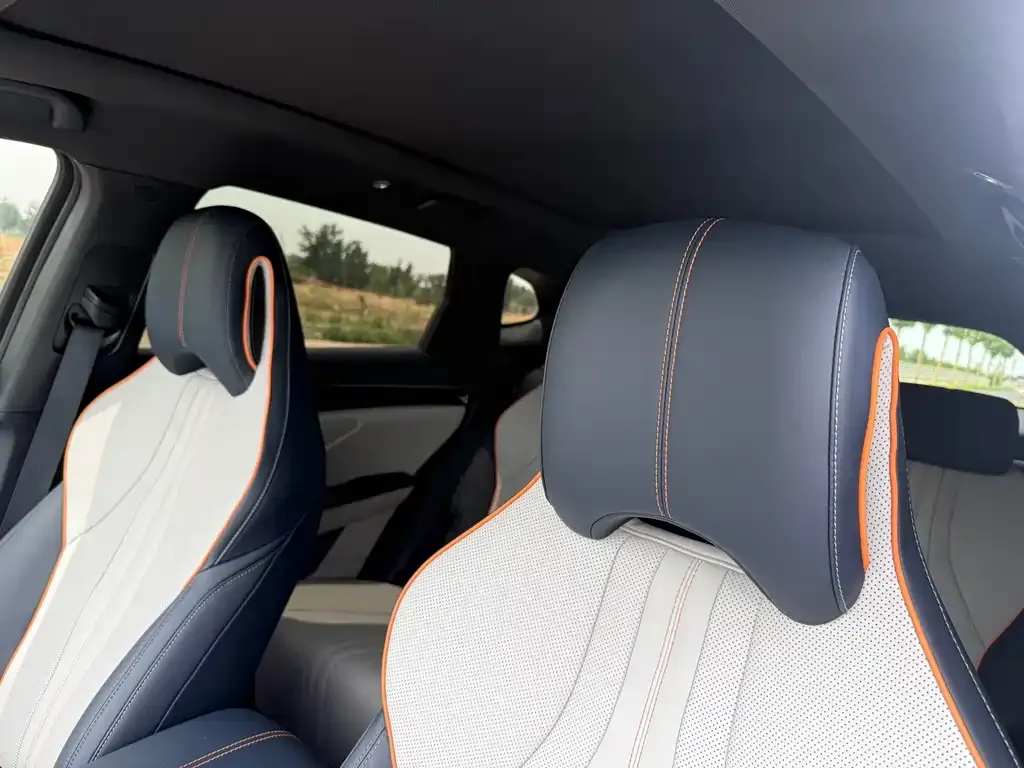 BYD PLUS New Energy 2024 из CN, фото 2