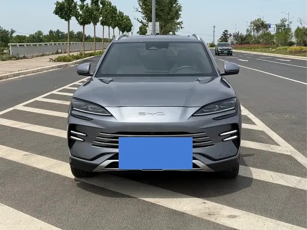 BYD PLUS New Energy 2024 из CN, фото 5