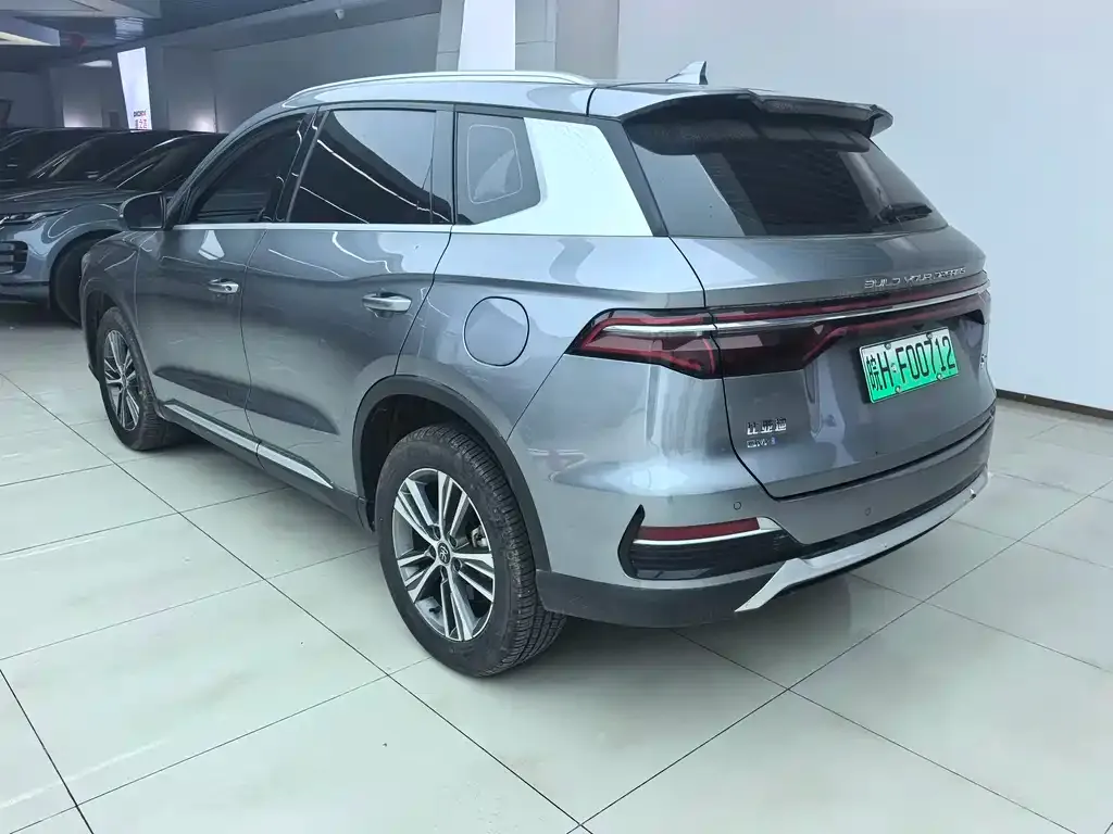 BYD Pro New Energy — фото 9