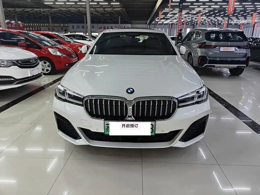 BMW 5 Series New Energy