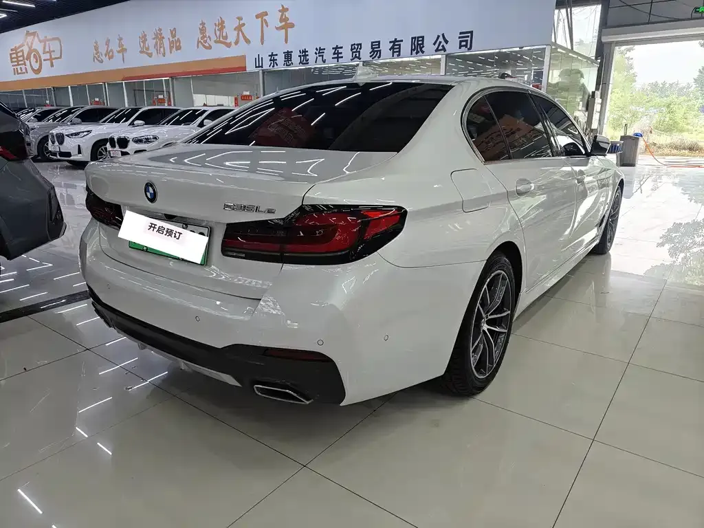 BMW 5 Series New Energy 2021 из CN, фото 4