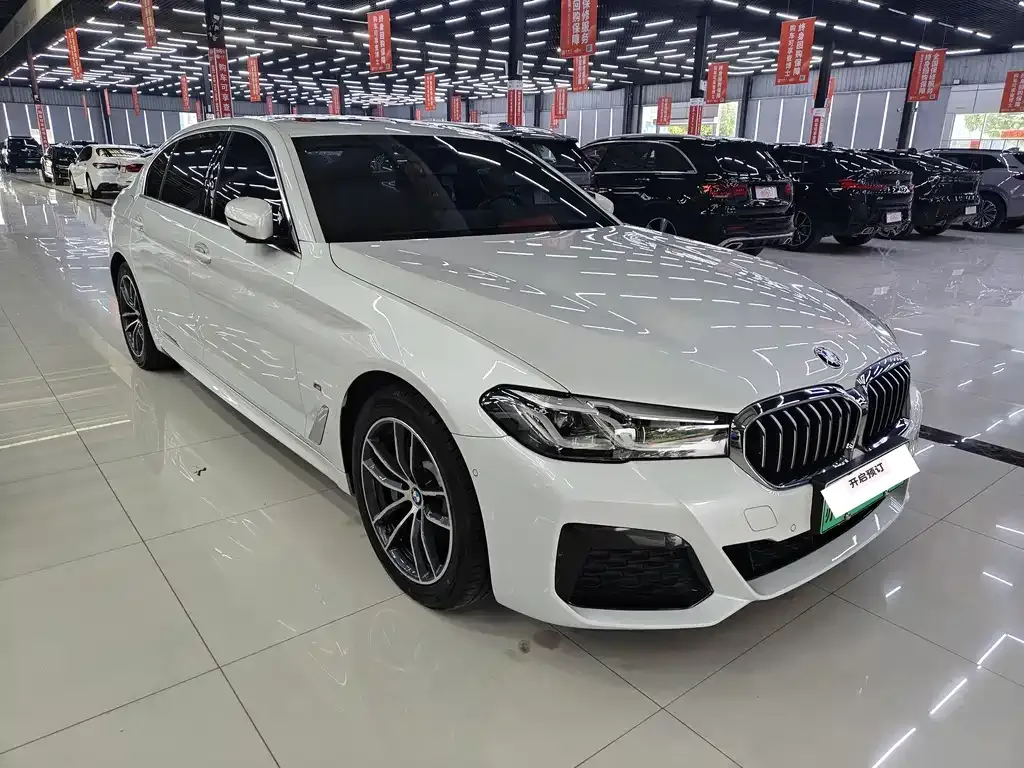 BMW 5 Series New Energy 2021 из CN, фото 7