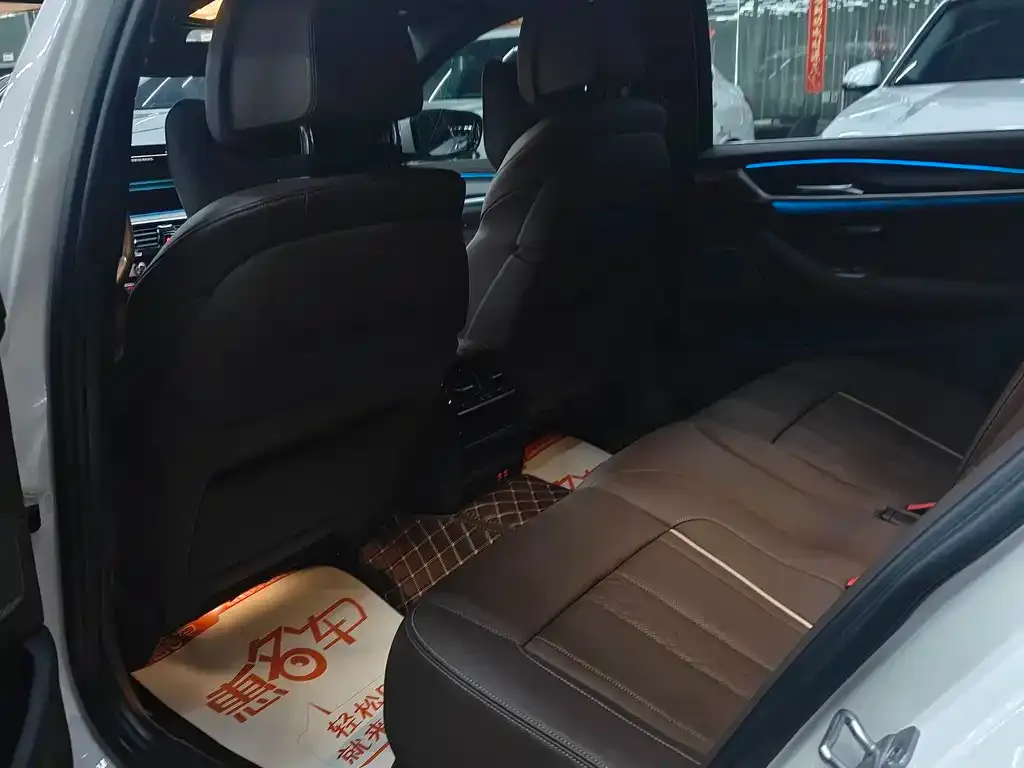 BMW 5 Series New Energy 2021 из CN, фото 3