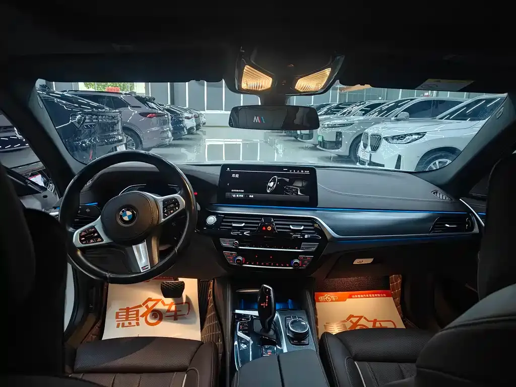 BMW 5 Series New Energy 2021 из CN, фото 10