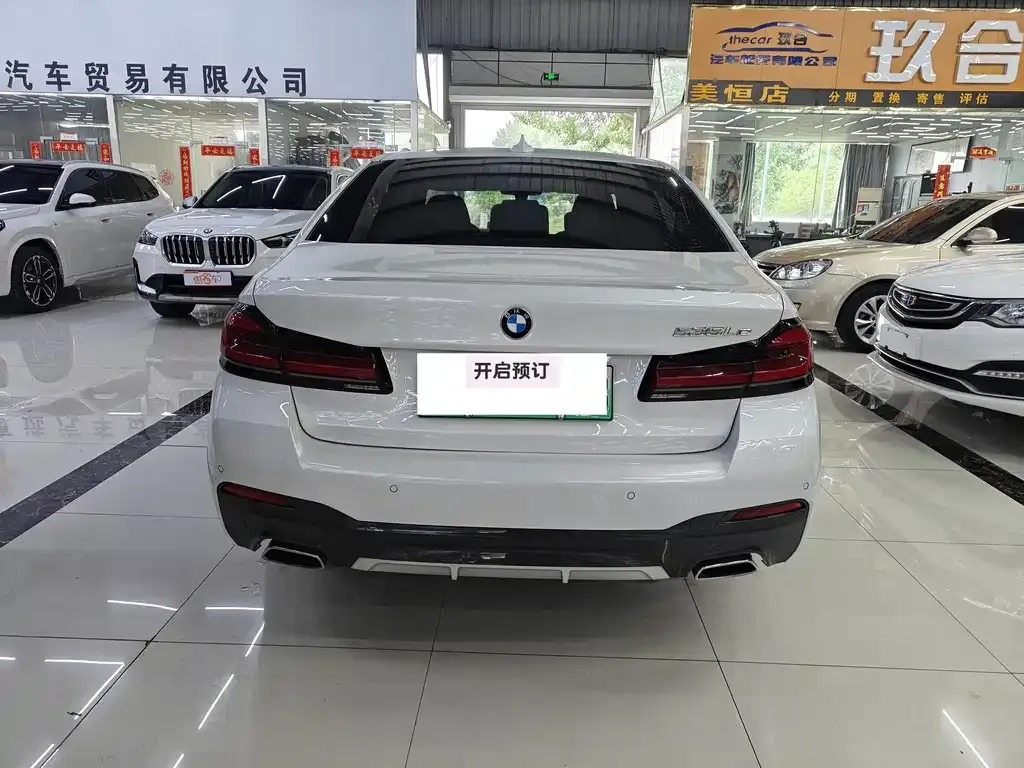 BMW 5 Series New Energy 2021 из CN, фото 9