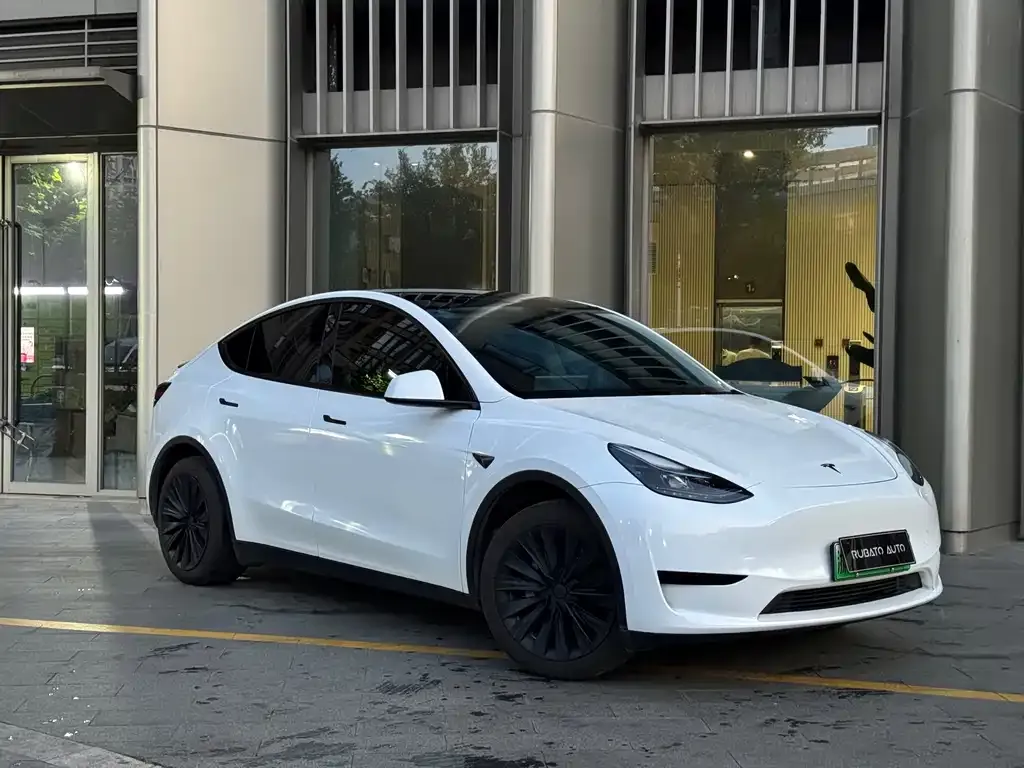 Tesla Model Y — фото 8