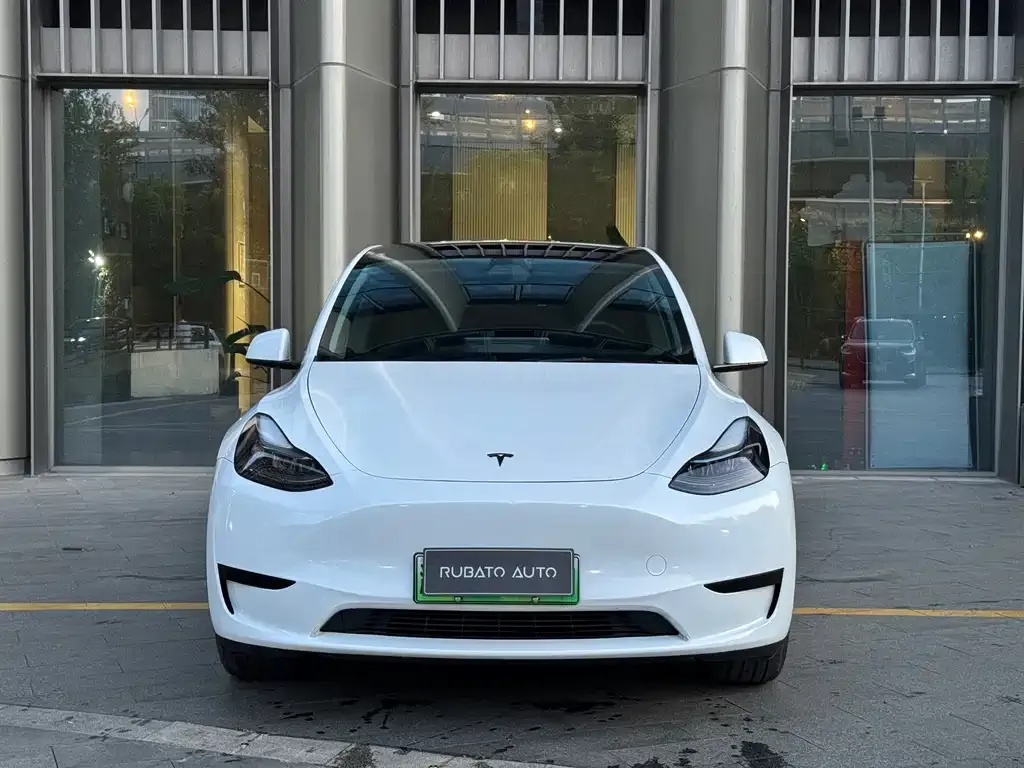 Tesla Model Y — фото 10