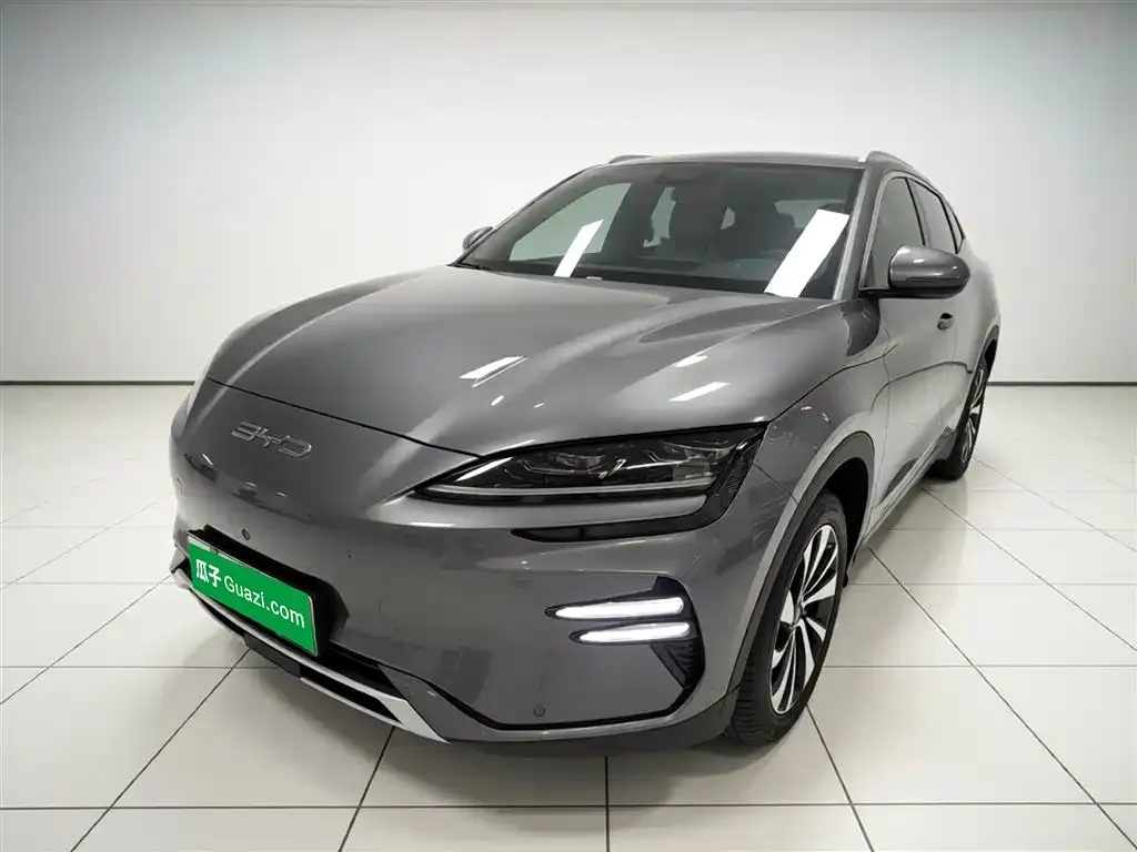 BYD PLUS New Energy 2023 из CN, фото 2