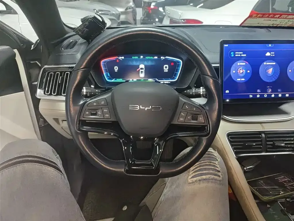 BYD PLUS New Energy 2023 из CN, фото 4