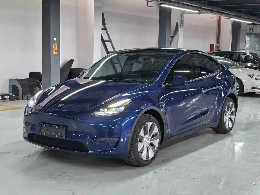 Tesla Model Y — фото 1