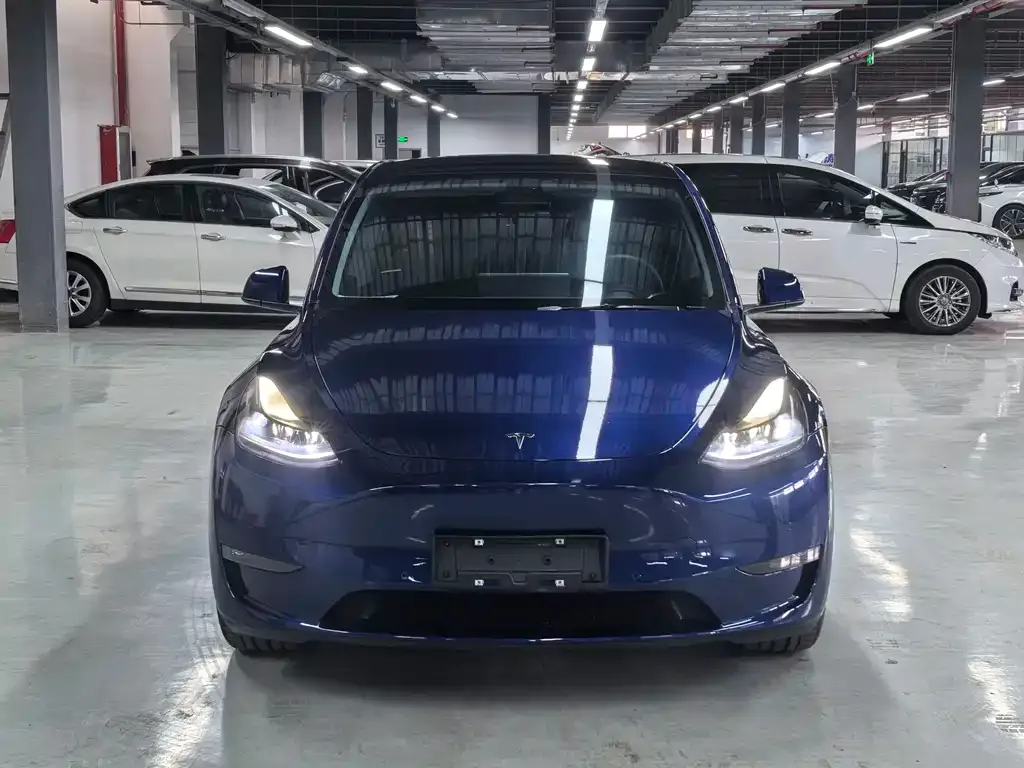 Tesla Model Y — фото 10