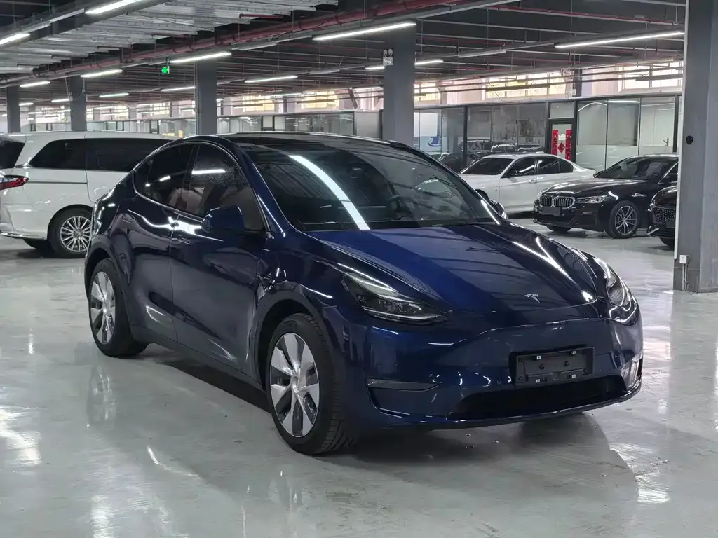 Tesla Model Y — фото 5