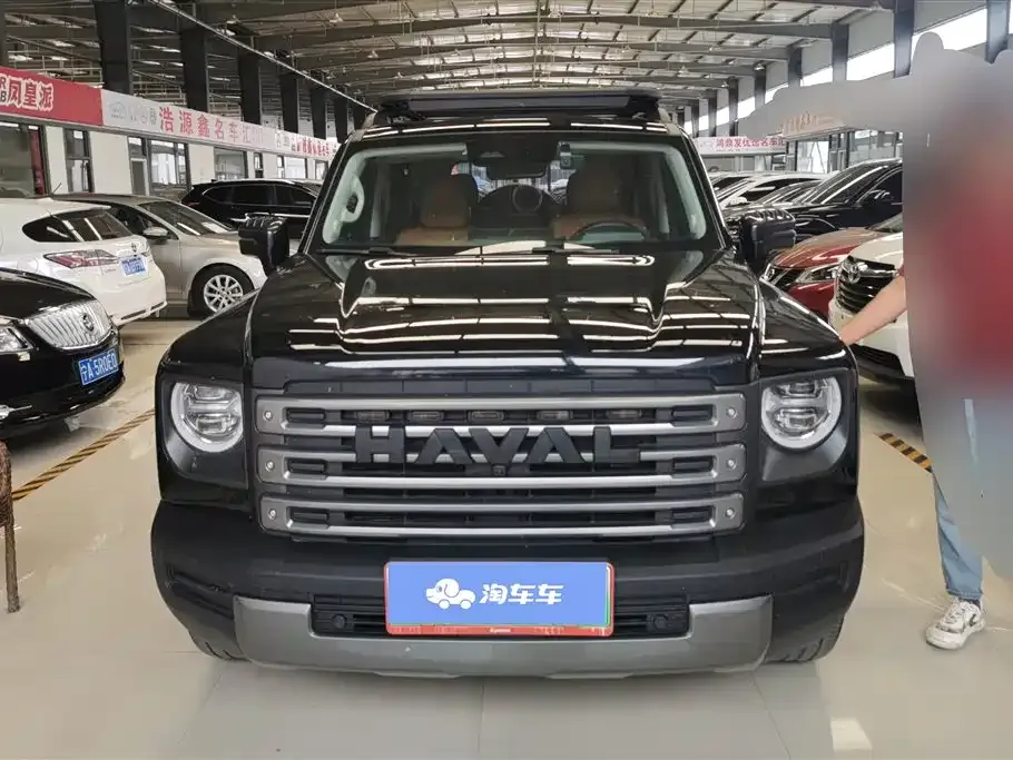 Haval Menglong New Energy 2024 из CN, фото 3