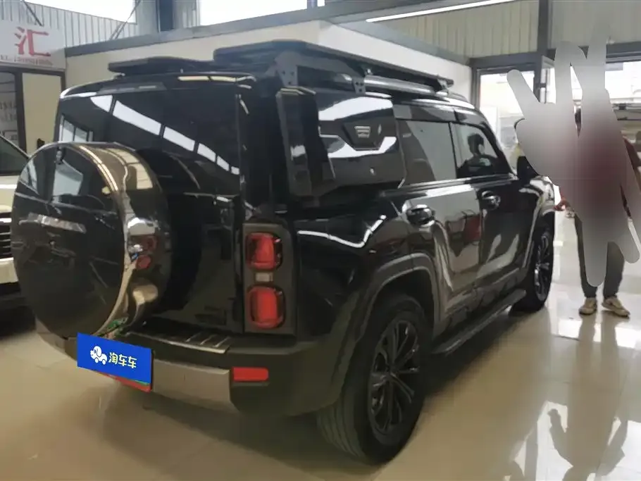 Haval Menglong New Energy 2024 из CN, фото 9