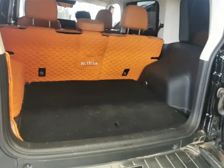 Haval Menglong New Energy 2024 из CN, фото 5