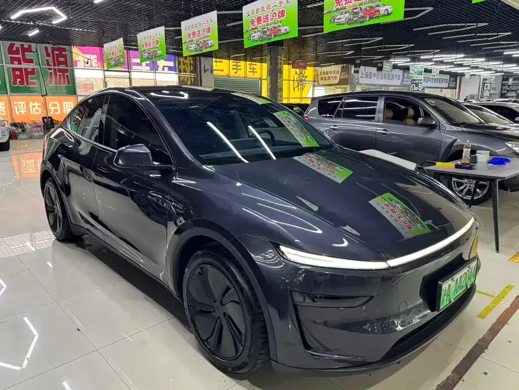 Tesla Model Y — фото 7