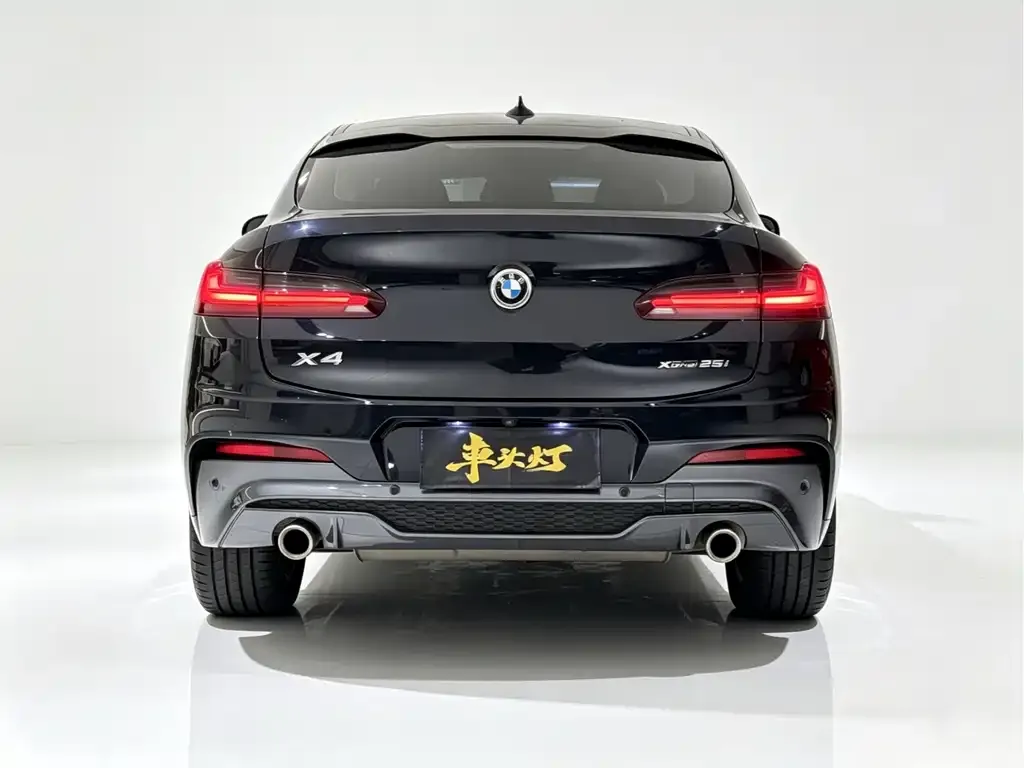 BMW X4 2021 из CN, фото 5