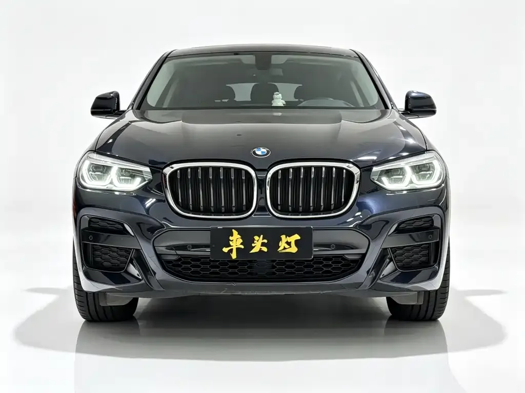 BMW X4 2021 из CN, фото 2