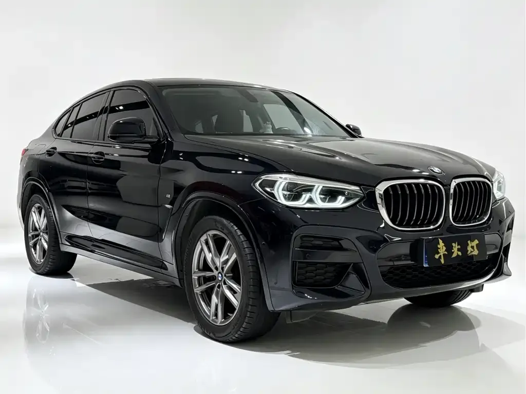 BMW X4 2021 из CN, фото 4