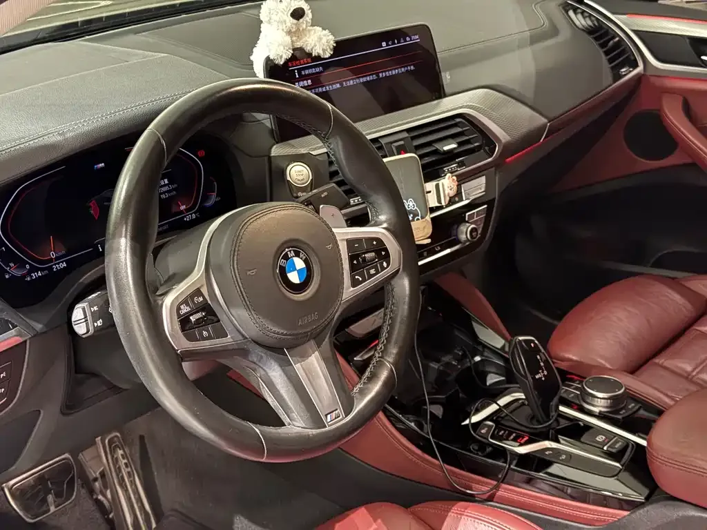 BMW X4 2021 из CN, фото 3