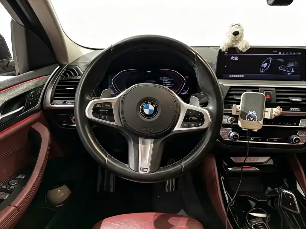 BMW X4 2021 из CN, фото 7