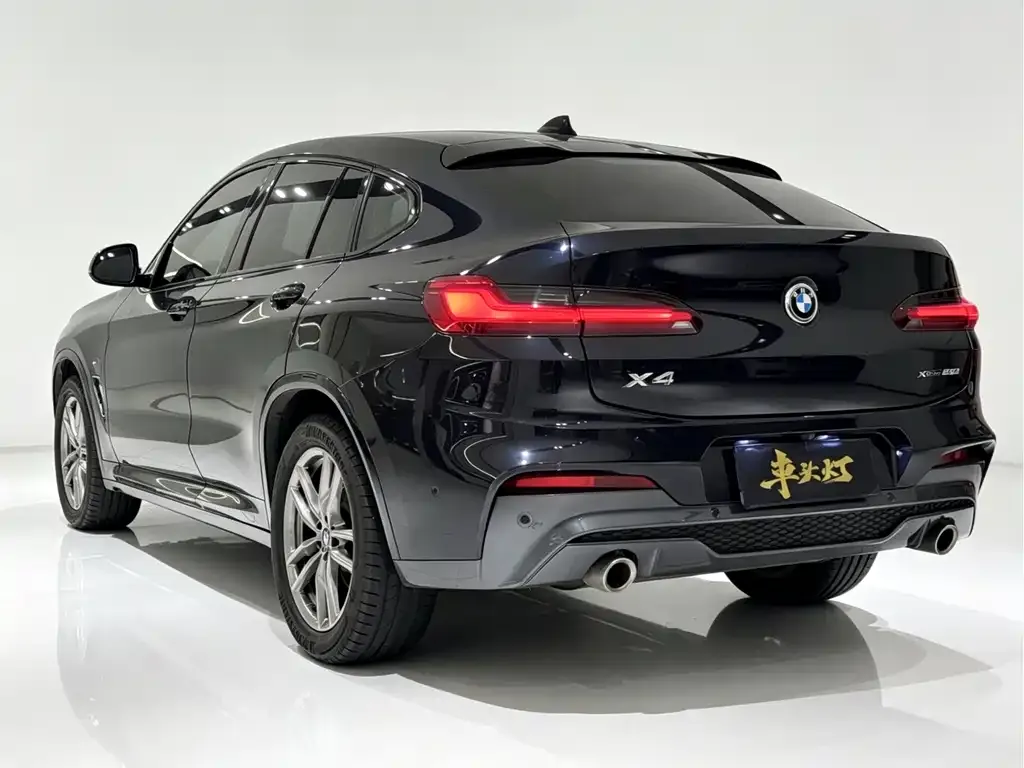 BMW X4 2021 из CN, фото 6