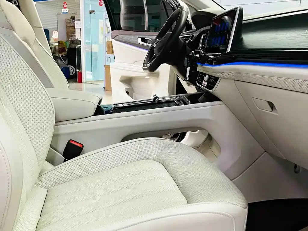Volkswagen Viloran 2024 из CN, фото 5