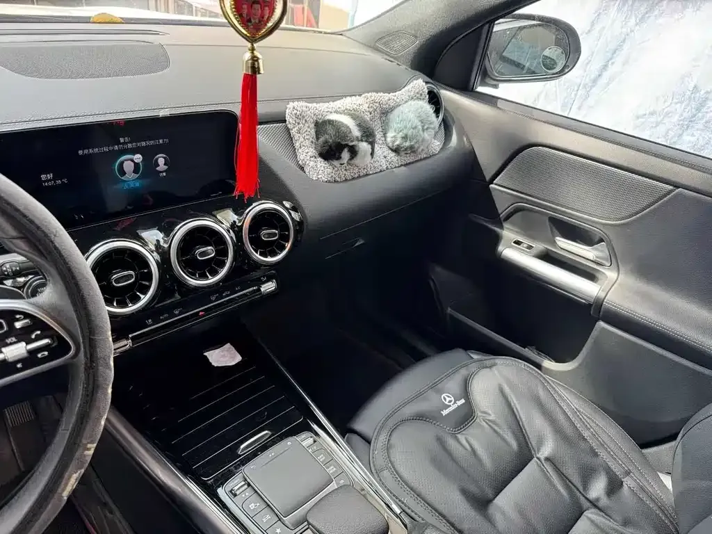 Mercedes-Benz GLA 2022 из CN, фото 8