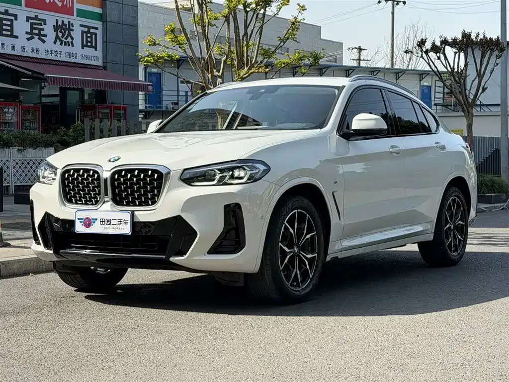 BMW X4 — фото 1