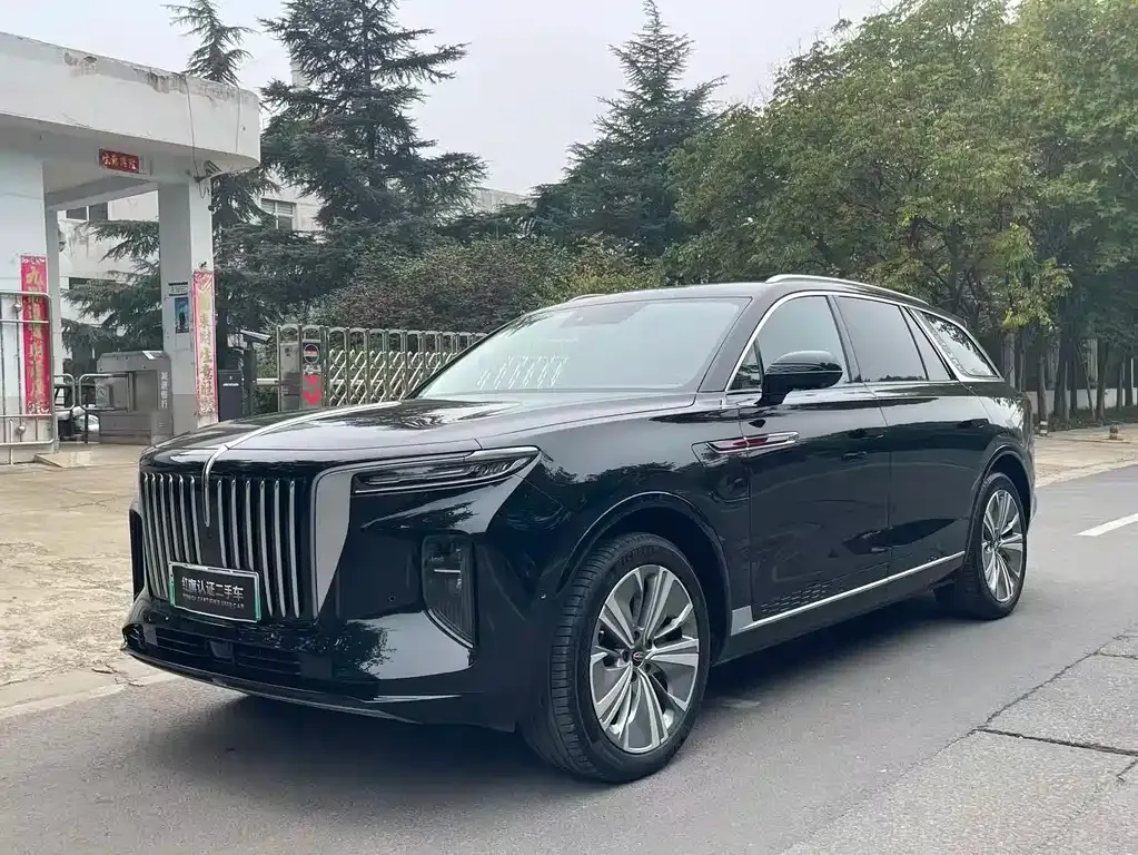 Hongqi E-HS9 — фото 1