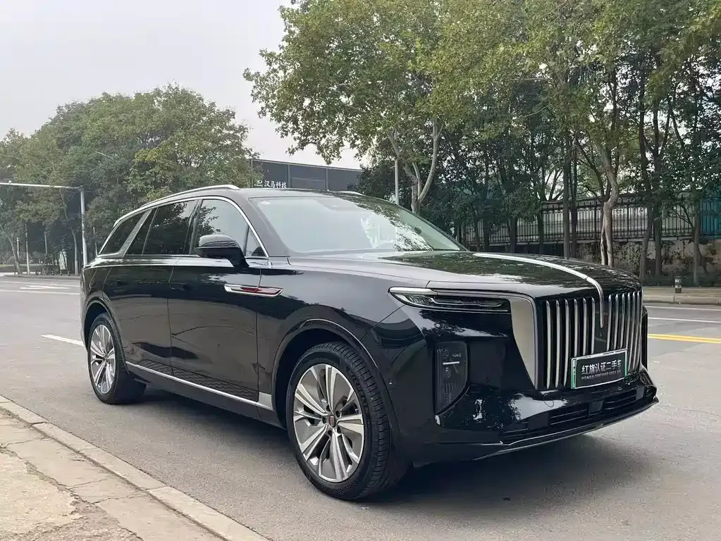 Hongqi E-HS9 — фото 7