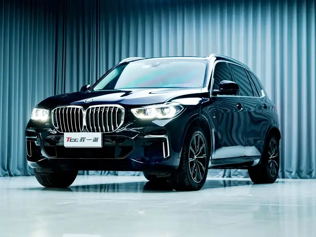 BMW X5 — фото 9