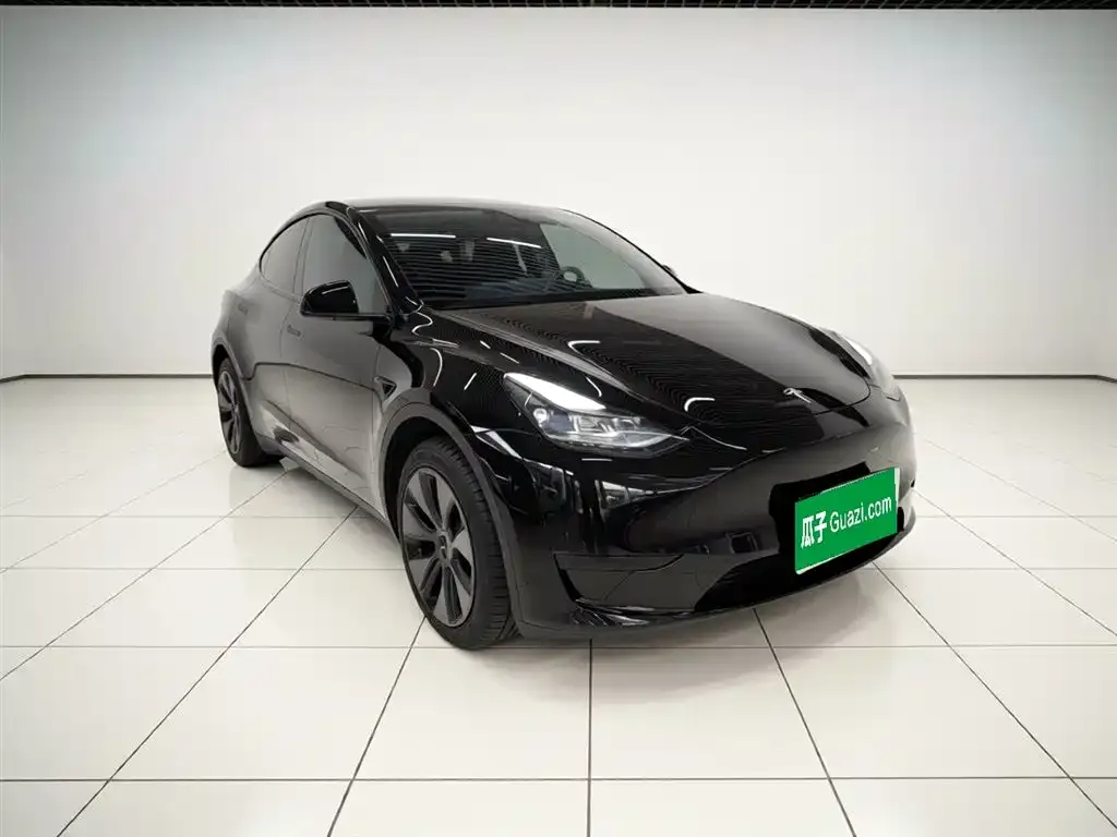 Tesla Model Y — фото 10