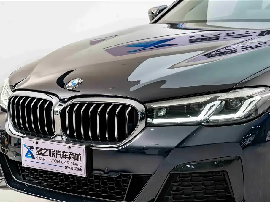 BMW 5 Series 2023 из CN, фото 6