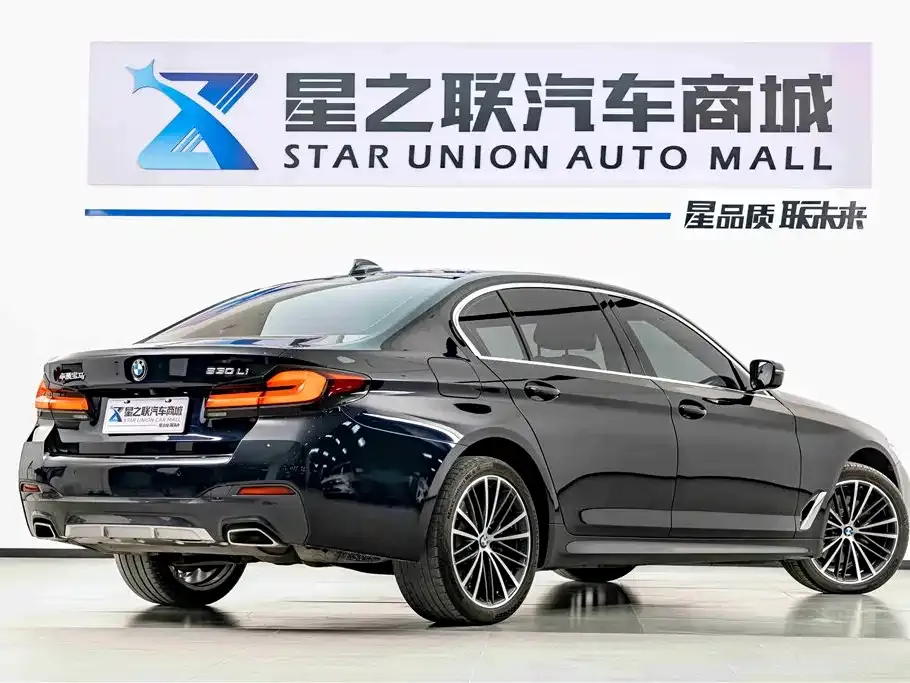 BMW 5 Series 2023 из CN, фото 5