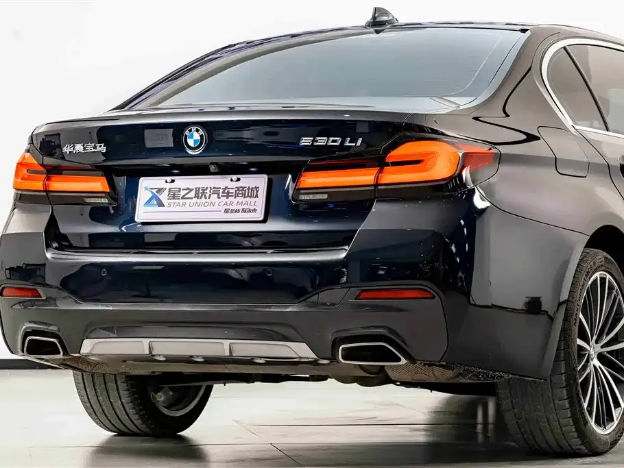 BMW 5 Series 2023 из CN, фото 8