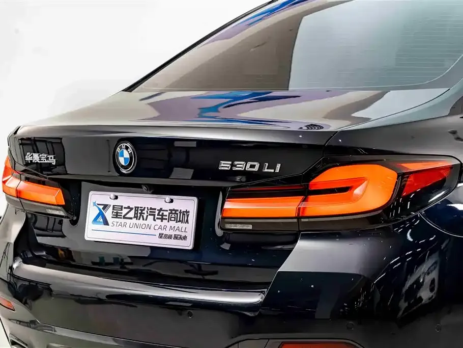 BMW 5 Series 2023 из CN, фото 9