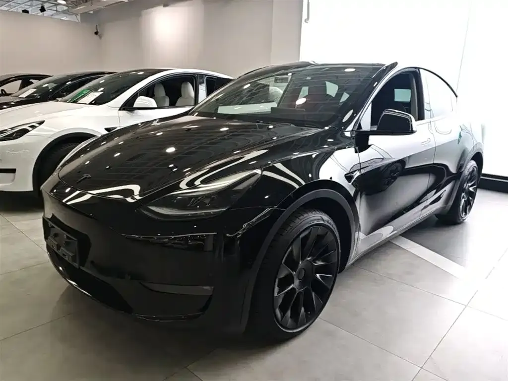 Tesla Model Y 2022 из CN, фото 1