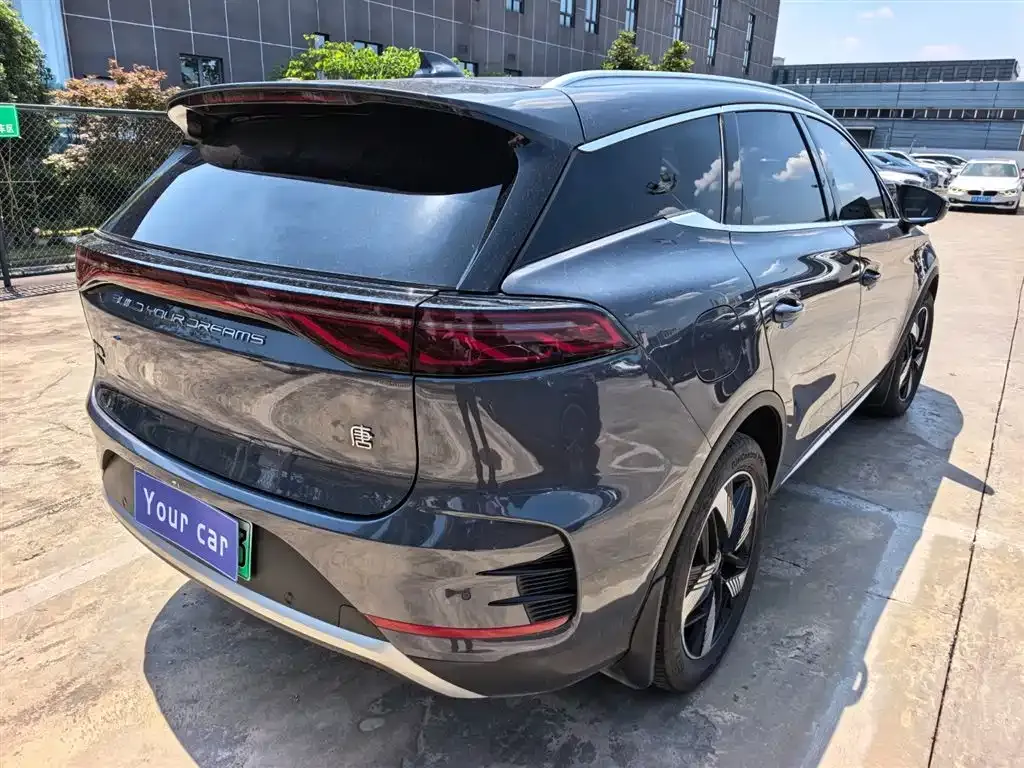 BYD Tang New Energy — фото 9