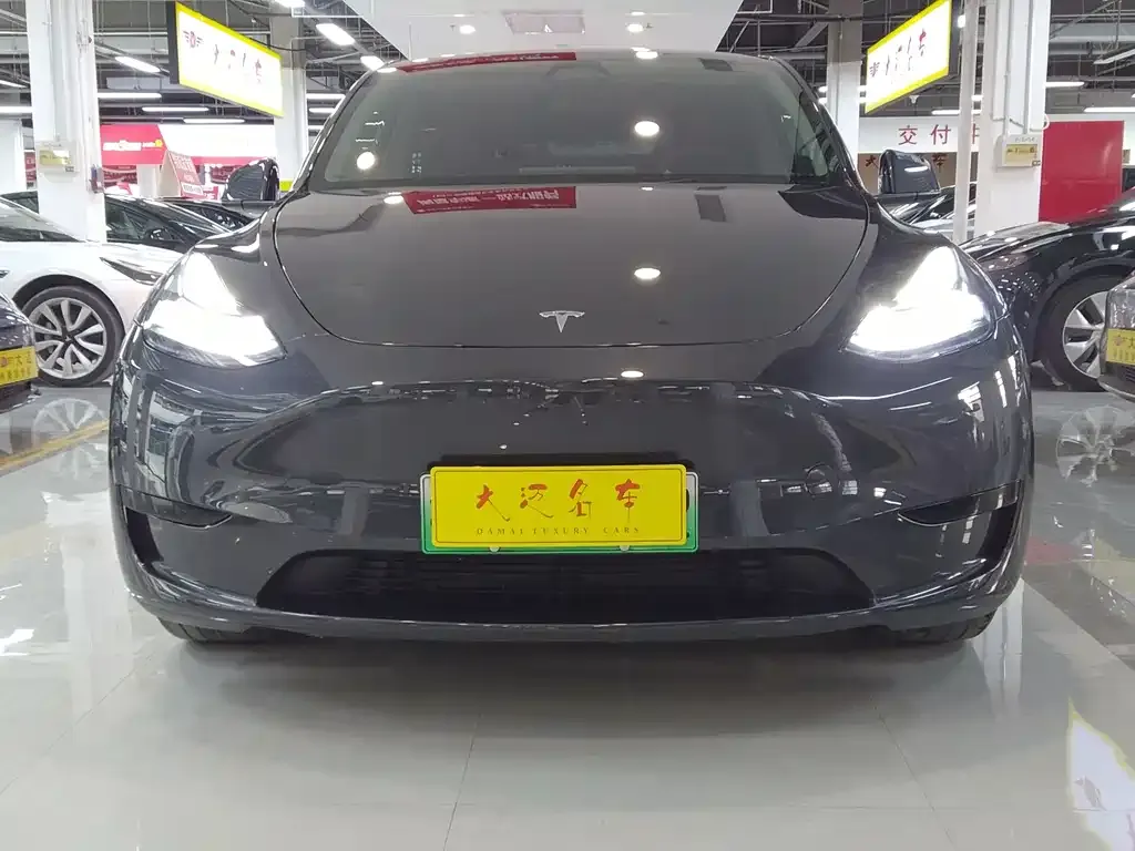 Tesla Model Y — фото 1