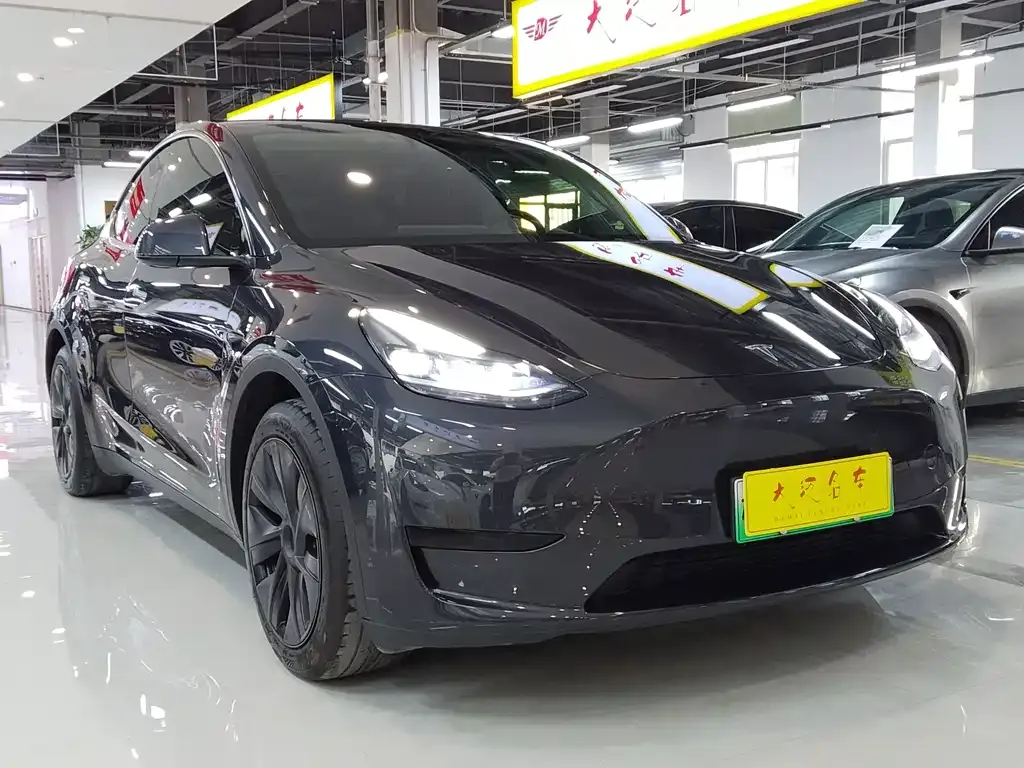 Tesla Model Y — фото 6