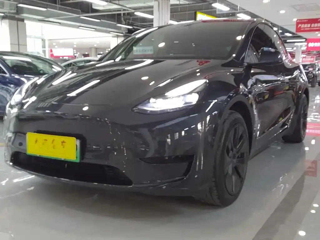 Tesla Model Y — фото 5