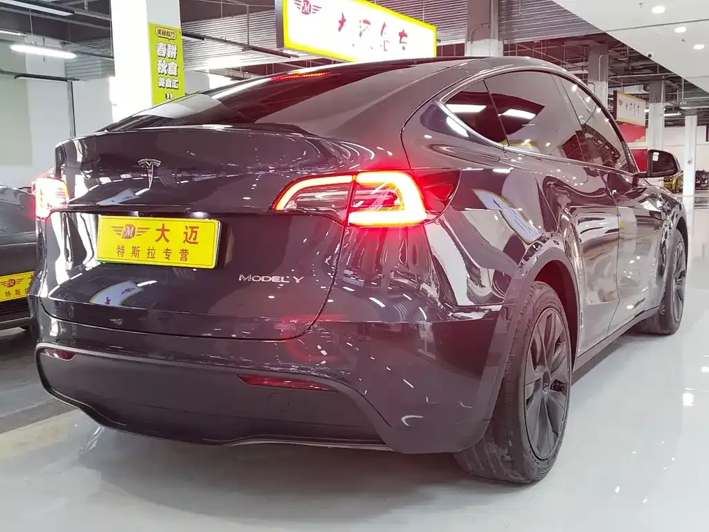 Tesla Model Y — фото 8