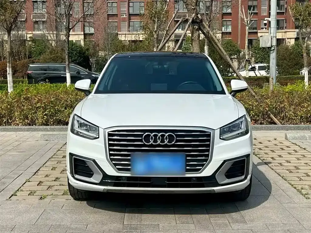Audi Q2L 2021 из CN, фото 6
