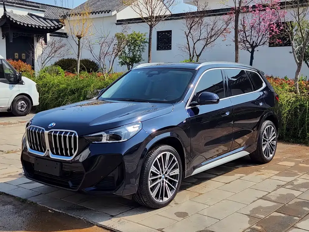 BMW X1 — фото 1
